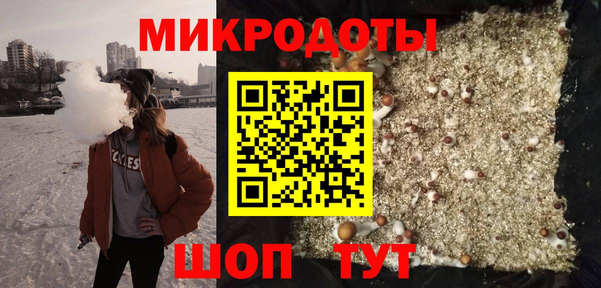 Псилоцибиновые грибы мицелий Сыктывкар