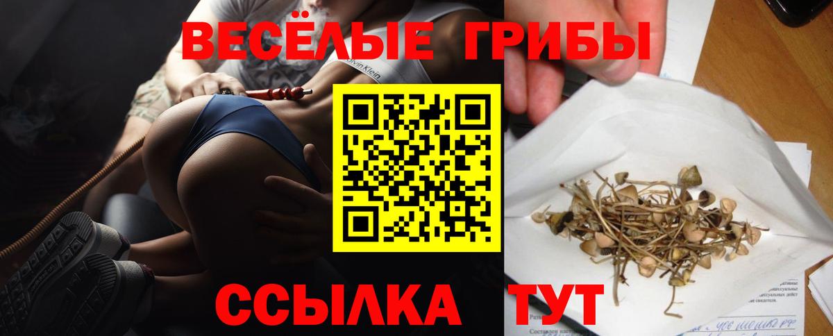 Сыктывкар  Галлюциногенные грибы прущие грибы  Псилоцибиновые грибы мухоморы  Вход с VPN 